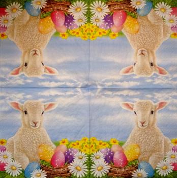 011 Sheep - 3-ply (11)